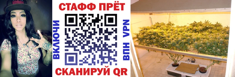 Наркота Сокол Кокаин  Гашиш  Канабис 