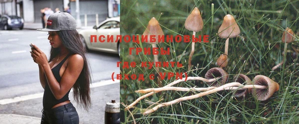 каннабис Лихославль