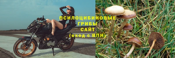 крисы Липки
