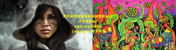 твердый Медвежьегорск