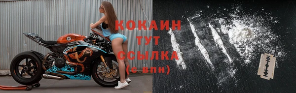 крисы Липки