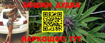 шишки Заводоуковск