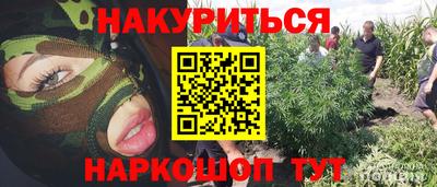 шишки Заводоуковск