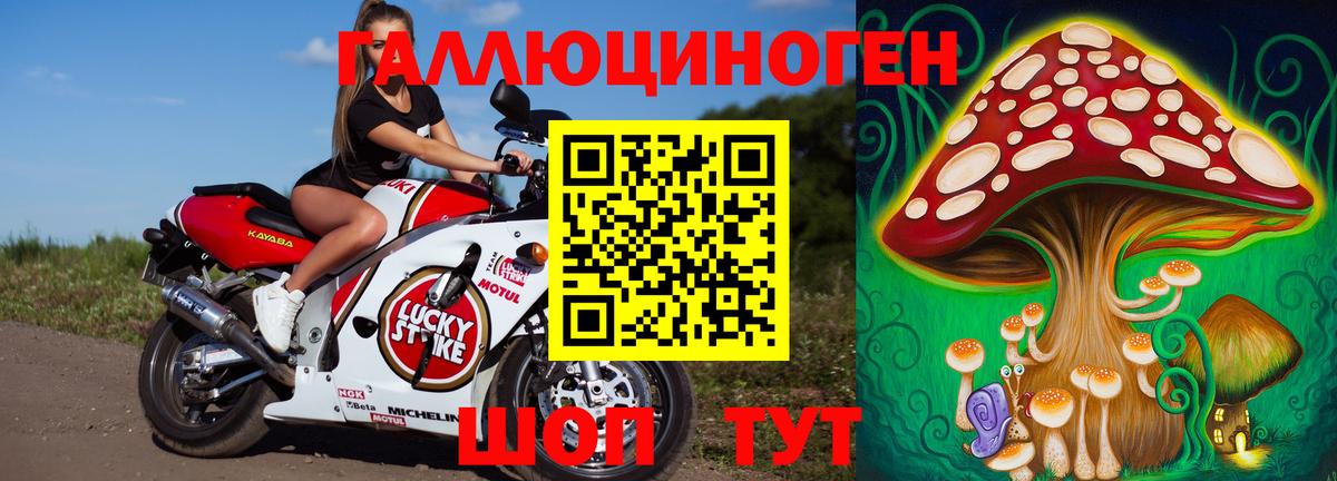 Сокол  Псилоцибиновые грибы прущие грибы  купить  сайты  Вход с VPN  Псилоцибиновые грибы Cubensis 